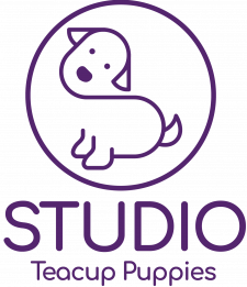 logo_v_purple